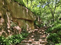 -大岭沟猕猴桃谷风景区