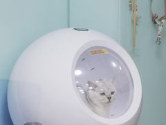 -中农大我爱我爱动物医院·核磁CT·猫病·24小时夜诊中心(石佛营店)