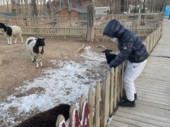 -鄂尔多斯野生动物园