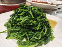 -正兴蜀园(科技园区店)