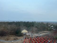 -东海森林温泉度假酒店