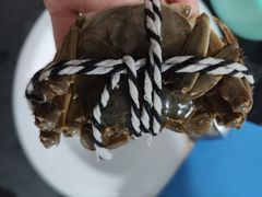 -七的湖·晚芳亭·阳澄湖农家菜·大闸蟹(莲花岛店)