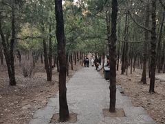 -青州市云门山风景区