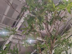 -喜茶(深圳东门1234店)
