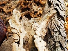 -腾冲艺缘艺术品有限公司