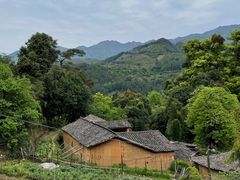 -杨家堂村