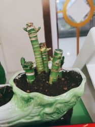 -Dr.林醫生产后修复·超级店(南京江宁同曦店)