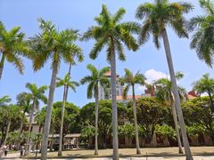 -厦门大学(思明校区)