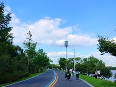 -羊山湖公园
