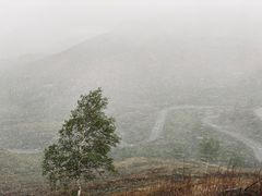 -灵山