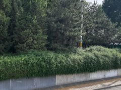 -玲珑塔公园