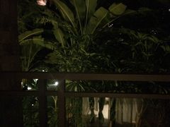 yan hua➍-西双版纳融创皇冠假日度假酒店