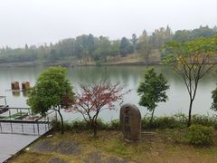 -仙林宾馆-餐厅