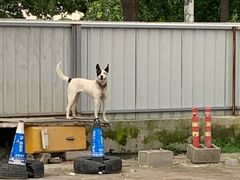-泊安飞浦东物流大道停车场