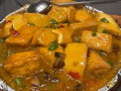 铁板财神豆腐-望乡楼上海菜(日月光店)