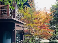 -十八棵（老龙井）御茶园(老龙井店)