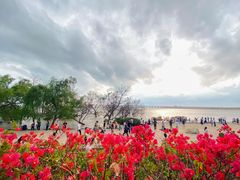 -宝安西湾红树林湿地公园