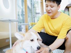-COMPANION COFFEE小伴咖啡