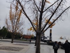-大雁塔北广场音乐喷泉
