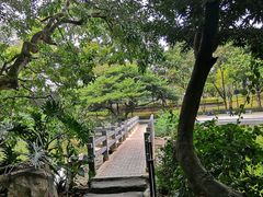 -云溪植物园