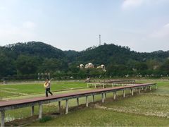 iphone_upload_pic-红山村