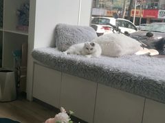 -拜鲁耶动物诊疗中心·宠家动物医院