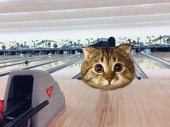 -广州保龄球馆(广州天河体育中心店)