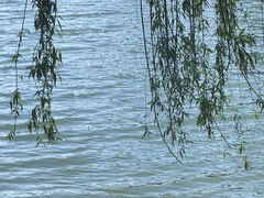 -美兰湖景区