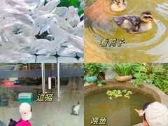 -坂田手造文化街
