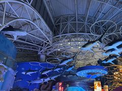 -烟台海昌鲸鲨海洋公园