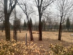 -秦皇岛野生动物园
