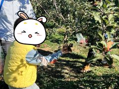 -凡恩格林幼儿园(中灿苑校区)