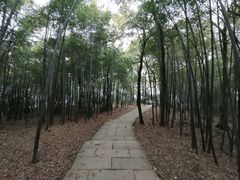 -西湖风景区十里琅珰-五云山