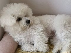 -MOI COFFEE(江山汇悦山府店)