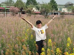 -洪湖家庭农场·团建·露营·会议