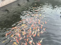 -太平禅寺