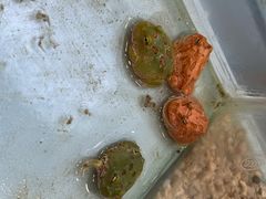 -万达广场(南京江宁店)