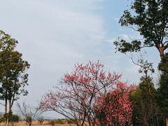 -良渚古城遗址公园