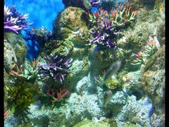 海洋世界-福州罗源湾海洋世界旅游区