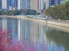 -望江楼公园