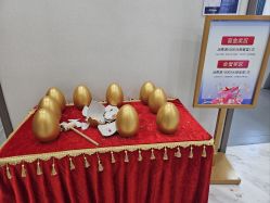 -上海漾颜医疗美容