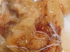 -邵年鸽(杨庄店)