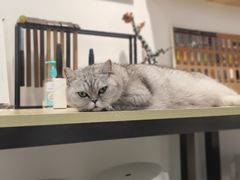 -Oasis绿洲银饰珍珠手作diy(壹方城店)