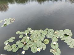 -长春公园(普阳街道)