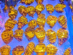 -武汉马哥孛罗酒店