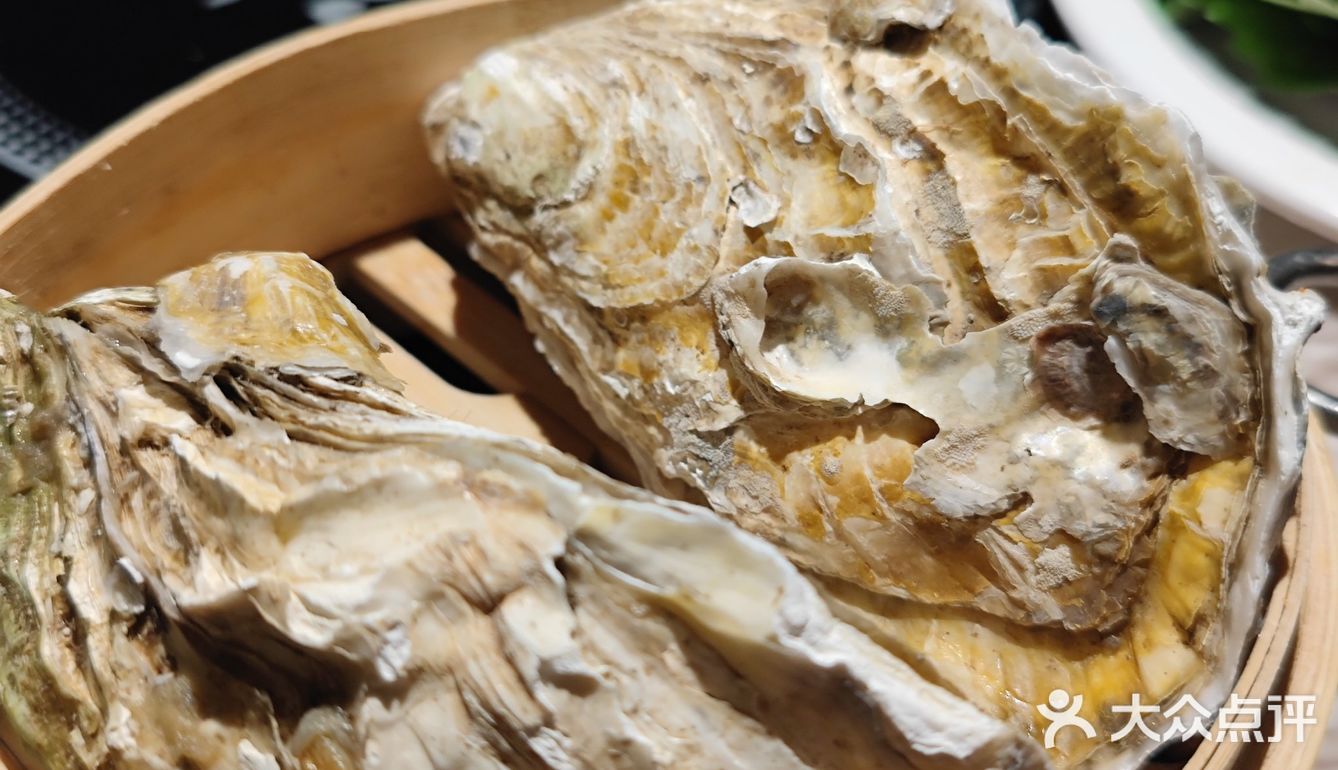 火炉火老板:我要让每个人都吃上免费的自助❗