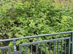 -安吉Hello Kitty乐园