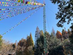 -云南民族村