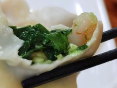 韭菜鸡蛋虾仁水饺-九先生水饺(傅厚岗店)