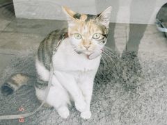 -Again Coffee Roaster(香蜜湖店)